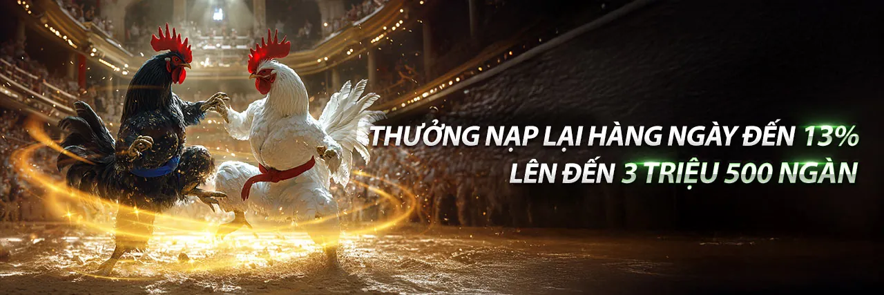 Giới thiệu về sam86 nhà cái - Nền tảng cá cược hàng đầu